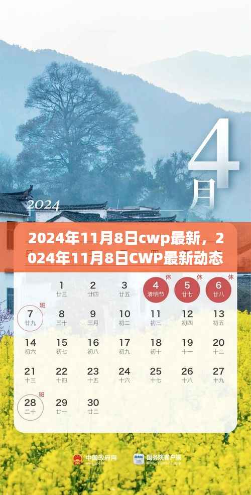 2024年11月8日CWP最新动态,引领行业变革的关键步骤与案例分析