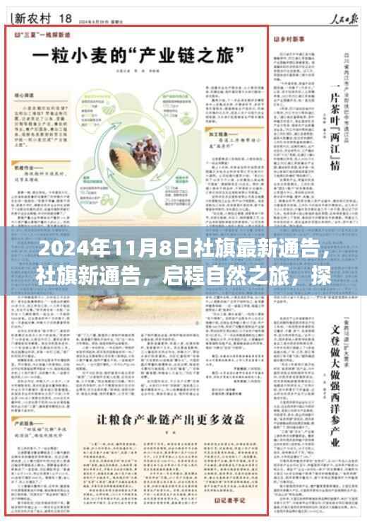 新闻中心 第270页