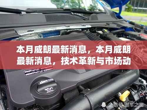 本月威朗最新动态,技术革新与市场趋势同步更新