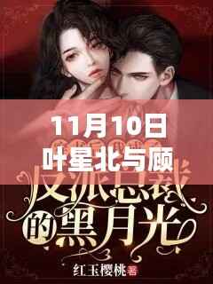 叶星北与顾君逐小说最新章节揭秘,11月10日的精彩瞬间与情感纠葛