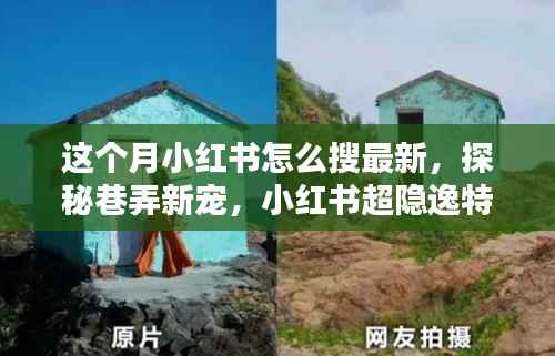 小红书探秘,巷弄新宠特色小店大揭秘,最新潮流搜索指南!