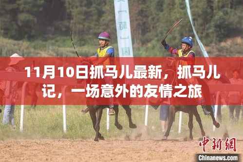 意外友情之旅,抓马儿记最新报道