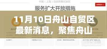 11月10日舟山自贸区最新动态解读与深度探讨