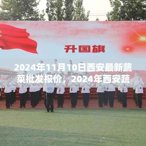 2024年西安蔬菜批发报价指南,获取最新报价全攻略