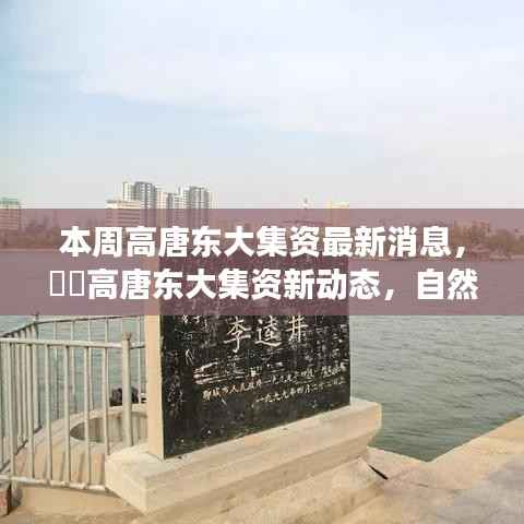高唐东大最新集资动态及自然之旅的心灵胜地探索
