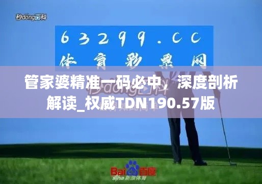 管家婆精准一码必中,深度剖析解读_权威TDN190.57版