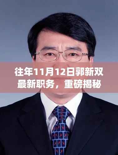 揭秘郭新双新职务，职场之路再创高峰历程揭秘！