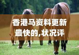 香港马资料更新最快的,状况评估解析_挑战版MFP626.18