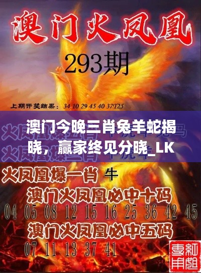 澳门今晚三肖兔羊蛇揭晓,赢家终见分晓_LKY656.61国际版