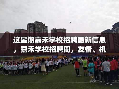 嘉禾学校招聘周,友情、机遇与成长的交汇点