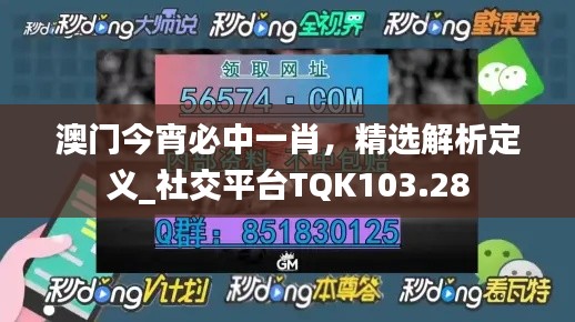 澳门今宵必中一肖,精选解析定义_社交平台TQK103.28