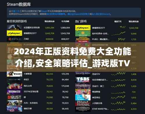 2024年正版资料免费大全功能介绍,安全策略评估_游戏版TVQ929.52