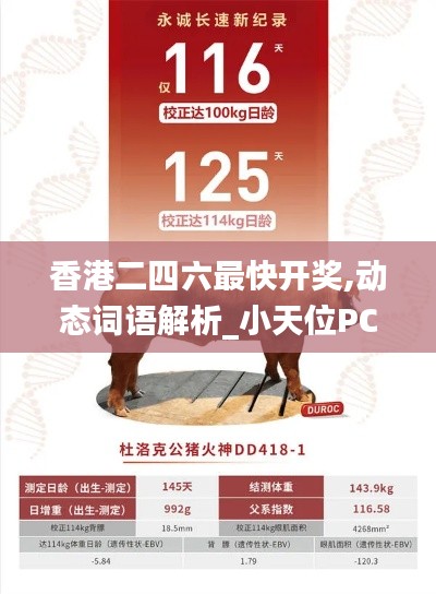 香港二四六最快开奖,动态词语解析_小天位PCI686.41