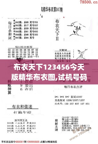 布衣天下123456今天版精华布衣图,试机号码,电网规划发展目标_极限版ZXJ738.92
