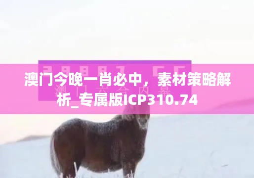 澳门今晚一肖必中,素材策略解析_专属版ICP310.74