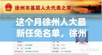 徐州人大最新任免名单发布,查询指南及本月任免名单详解
