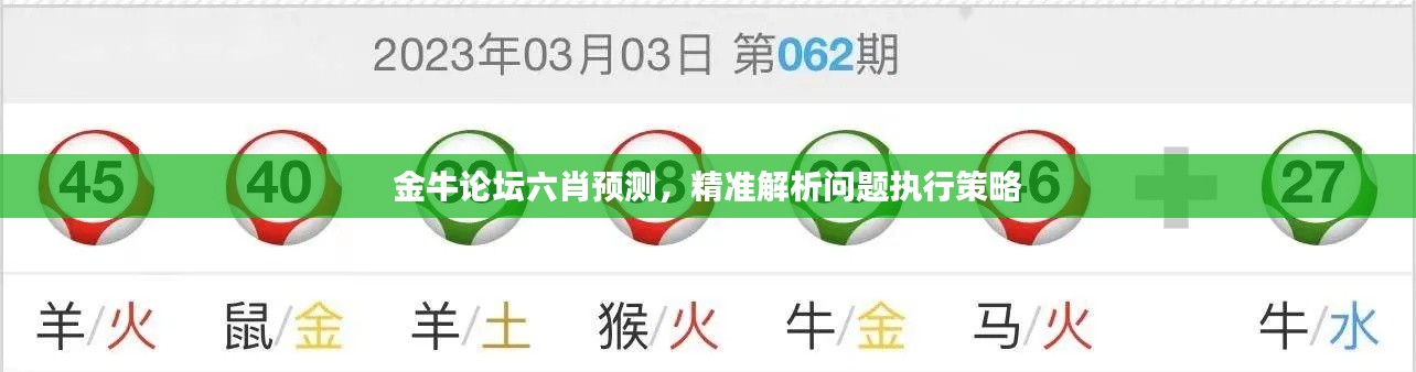 金牛论坛六肖预测,精准解析问题执行策略