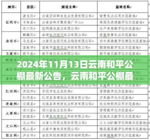 云南和平公棚最新公告发布,多元观点探析与解读