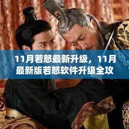 零基础步步为营,11月最新版若怒软件升级全攻略