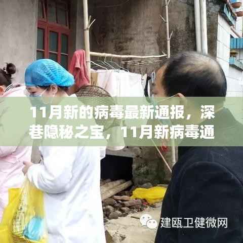 深巷美食与隐秘病毒,11月最新通报的双重探索