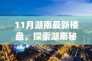 走马观花 第24页