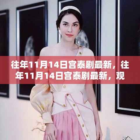 往年11月14日宫泰剧最新情报,观看与学习指南全解析