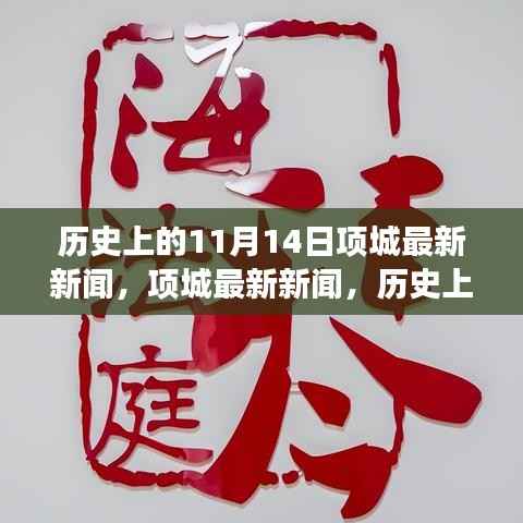 历史上的11月14日事件深度解析与项城最新新闻探索指南