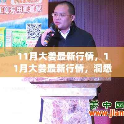 揭秘11月大姜最新行情,市场动态与价格走势一网打尽