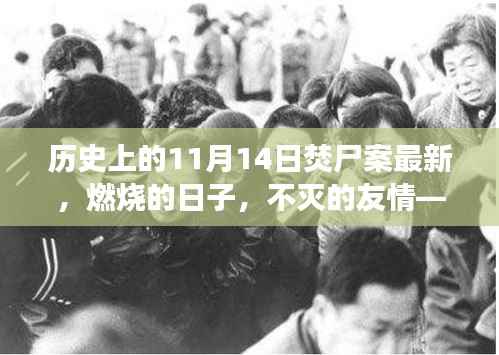 温馨日常的焚尸案纪念日，不灭的友情与历史回望