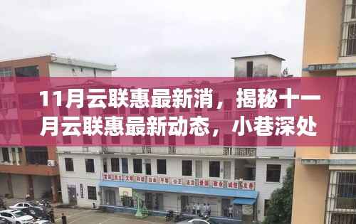 揭秘十一月云联惠最新动态,小巷特色小店深度探索