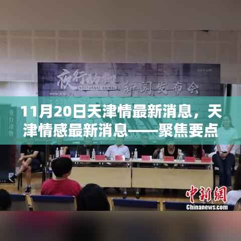 天津情感最新动态解析,聚焦要点揭秘