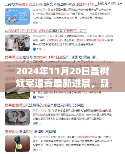 聂树斌案追责最新进展深度解析,2024年11月20日追责进展及评测