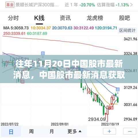 往年11月20日中国股市动态解析,获取最新消息指南及初学者进阶技巧
