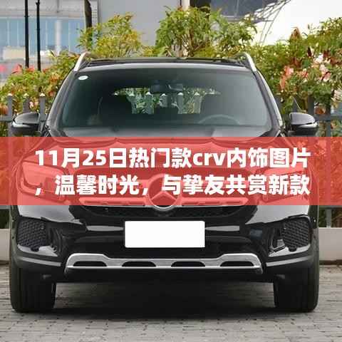 新闻中心 第184页