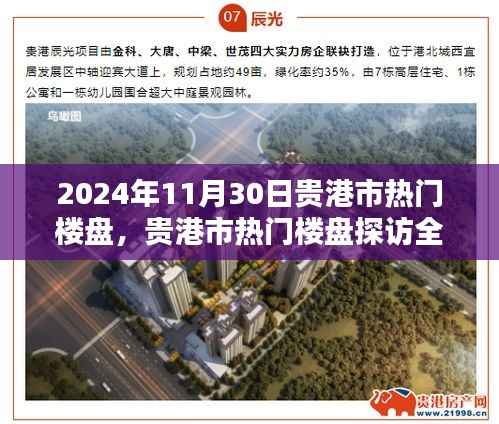 贵港市热门楼盘探访全攻略,购房指南(2024年11月30日)