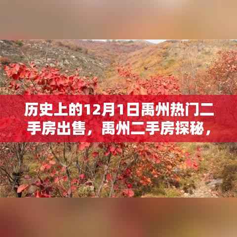 禹州二手房探秘，揭秘历史中的热门房源与自然美景的不期而遇