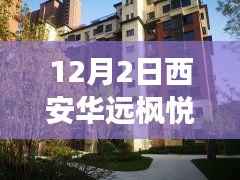 西安华远枫悦最新报价深度解析,市场洞察与动态更新