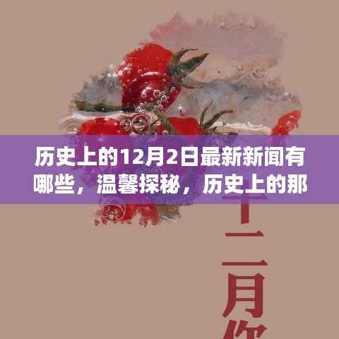 温馨探秘,历史上的十二月二日最新新闻与日常小故事回顾