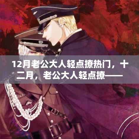 十二月热门话题,老公大人轻点撩——全面评测与介绍