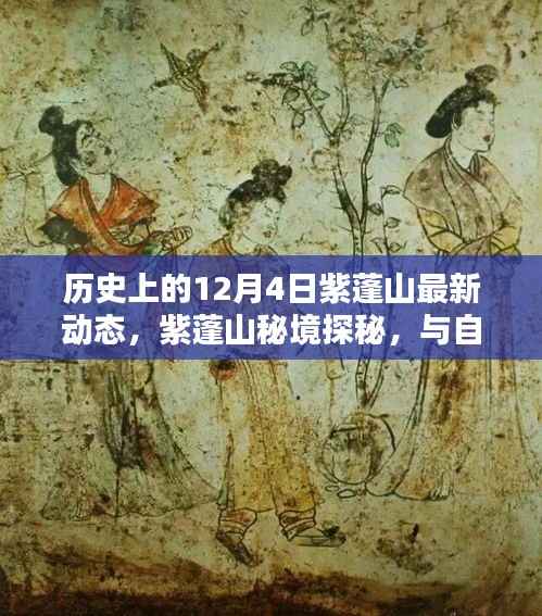 紫蓬山探秘,历史动态与自然宁静的交融之旅(12月4日最新资讯)