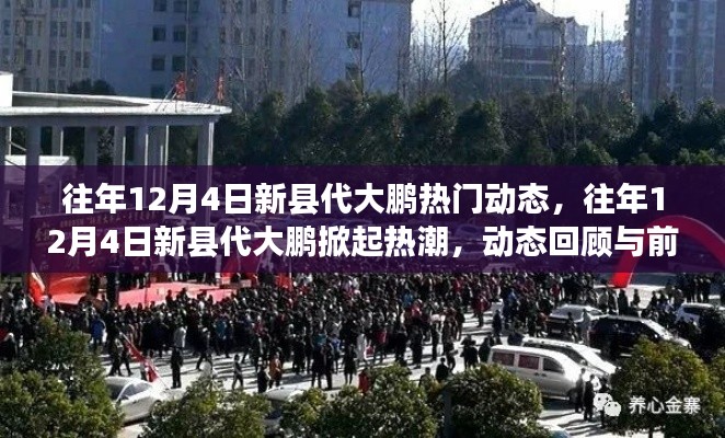 往年12月4日新县代大鹏,热门动态回顾与未来前瞻,掀起热潮的焦点时刻