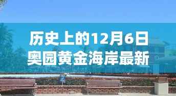 揭秘黄金海岸,历史上的12月6日最新动态与发展历程揭秘