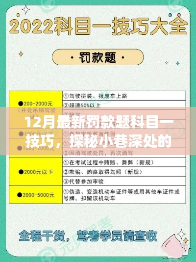 探秘驾驶宝典,揭秘科目一罚款题制胜技巧与小巷驾驶秘籍(最新更新)