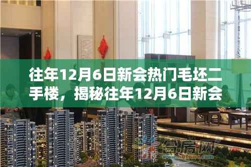 揭秘新会热门毛坯二手楼市,购房者三大关注点解析(往年12月6日)