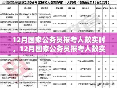 12月国家公务员报考人数实时分析与趋势探讨,数据、策略一览