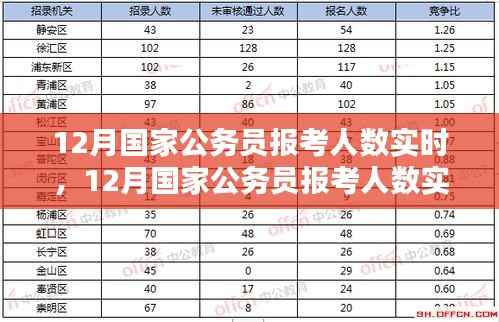 12月国家公务员报考人数实时分析与趋势探讨,数据、策略一览