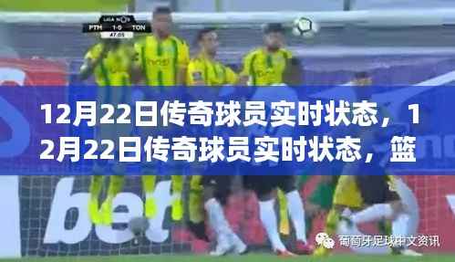 篮球传奇球员实时状态更新,巨星们的辉煌在闪耀继续