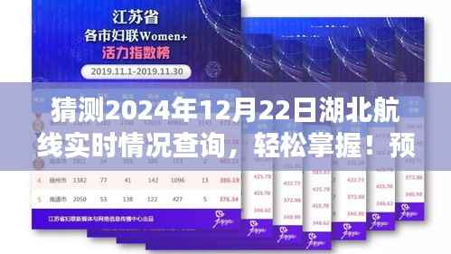 湖北航线实时情况预测与查询指南,初学者与进阶用户必备参考(2024年预测)