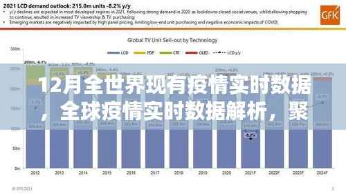 全球疫情实时数据解析,聚焦12月疫情动态与动态变化