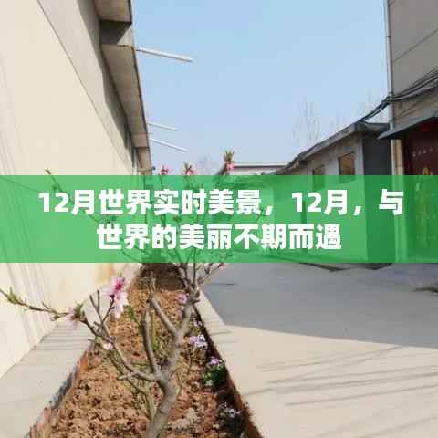 12月世界美景尽收眼底,与全球美丽的不期之约